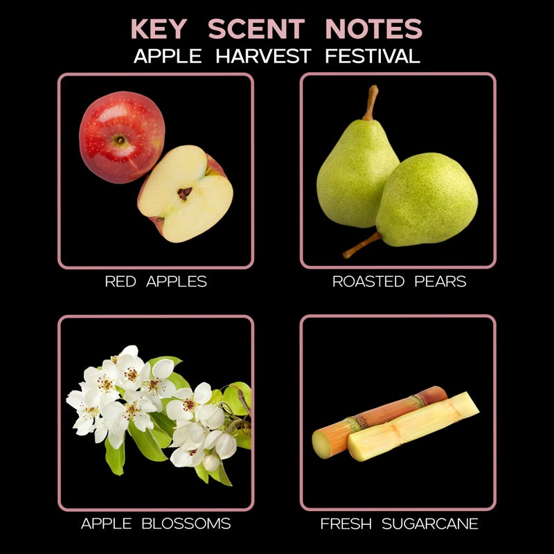 LOVSPA Reed Diffuser Set, Apple Harvest Scented Oil Diffuser with Sticks, Home Fragrance Accessories for Bathroom Shelf Decor, Aroma Diffusers for Home or Office Fall Decor, USA Made - Image 4